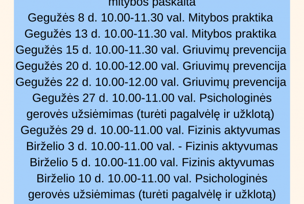 0001_grafikas-65-v1_1747313311-6033bc92f5ca86c774b965dcba48506f.png